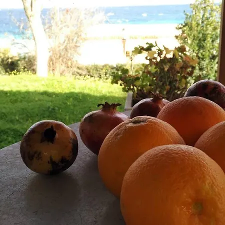 Beekeeper's House By The With Boat & Bikes. Βίλα